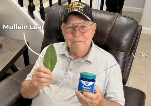 Mullein leaf and vicks trick for lung health